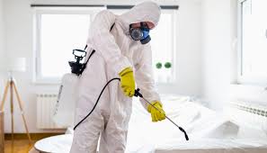 شركة مكافحة حشرات بالرياض