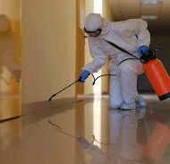 شركة مكافحة حشرات بالرياض